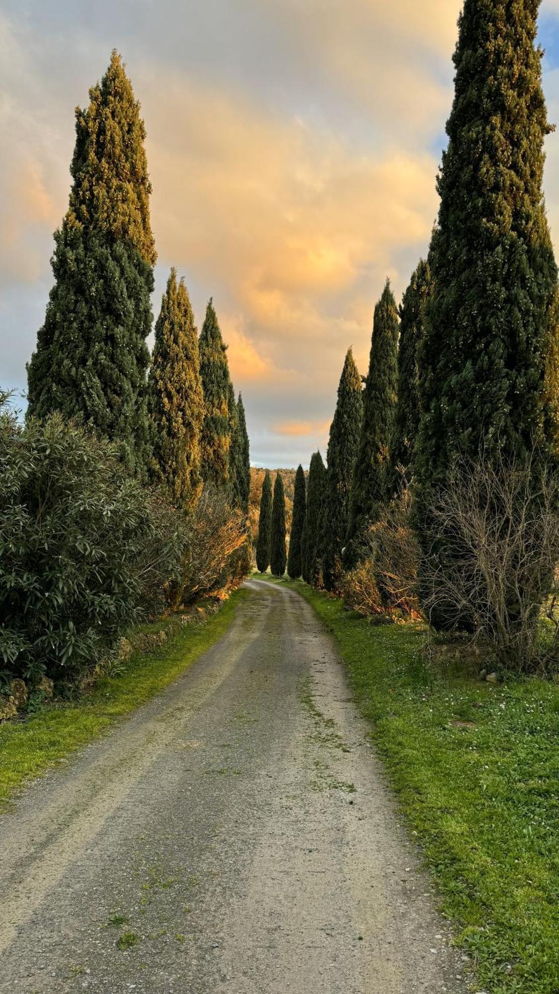 Agriturismo Soiano Famiglia Rolfini Montaione Εξωτερικό φωτογραφία