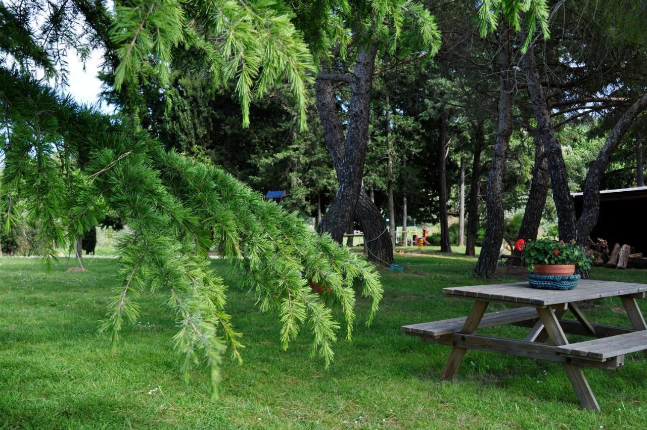 Agriturismo Soiano Famiglia Rolfini Montaione Εξωτερικό φωτογραφία