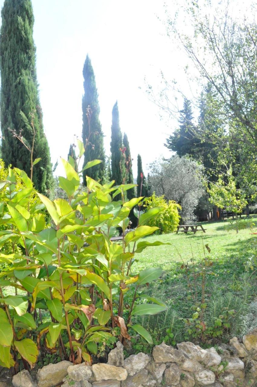 Agriturismo Soiano Famiglia Rolfini Montaione Εξωτερικό φωτογραφία